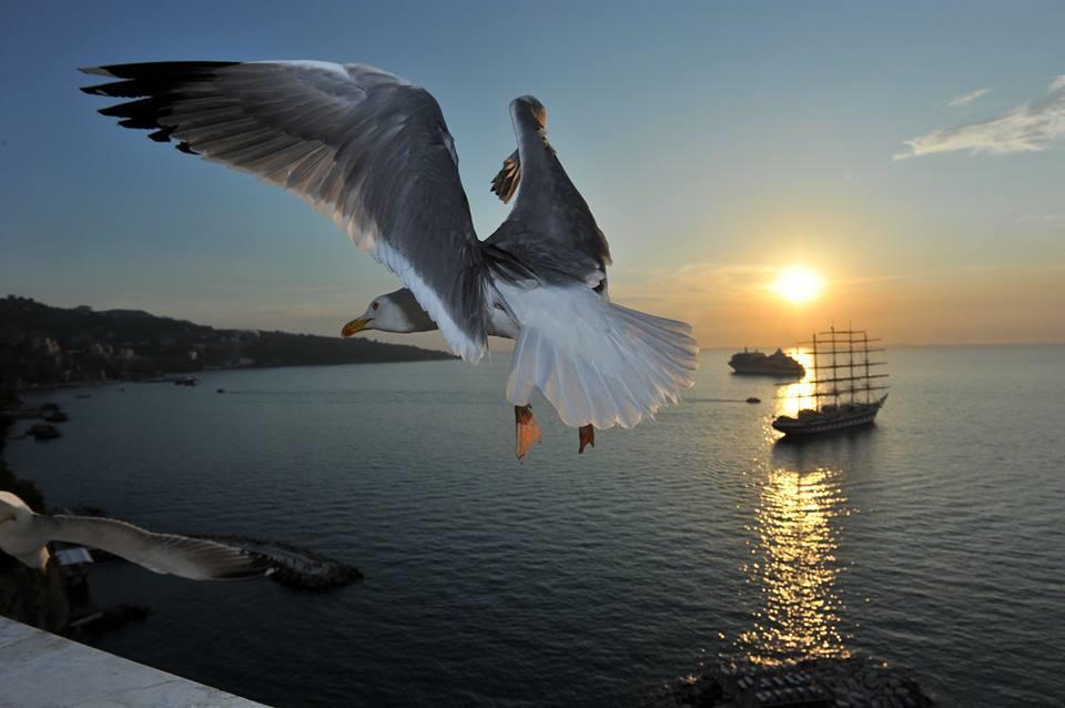 Sorrento Coast Relais Otel Meta Dış mekan fotoğraf